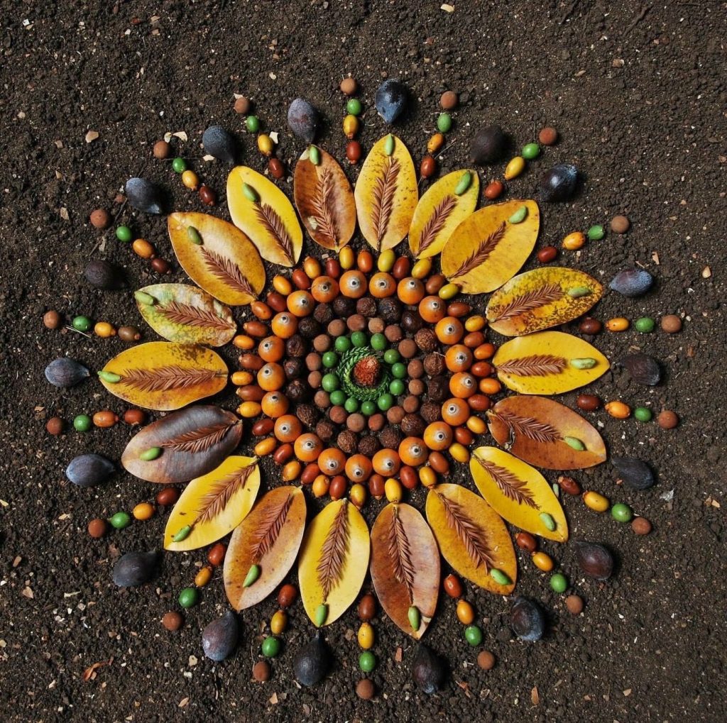 golden flower mandala on dark soil. A metaphor for the gift field
